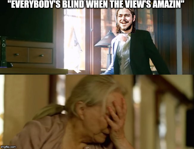 Everybody's blind when the views amazin | "EVERYBODY'S BLIND WHEN THE VIEW'S AMAZIN" | image tagged in post malone,bird box,memes | made w/ Imgflip meme maker
