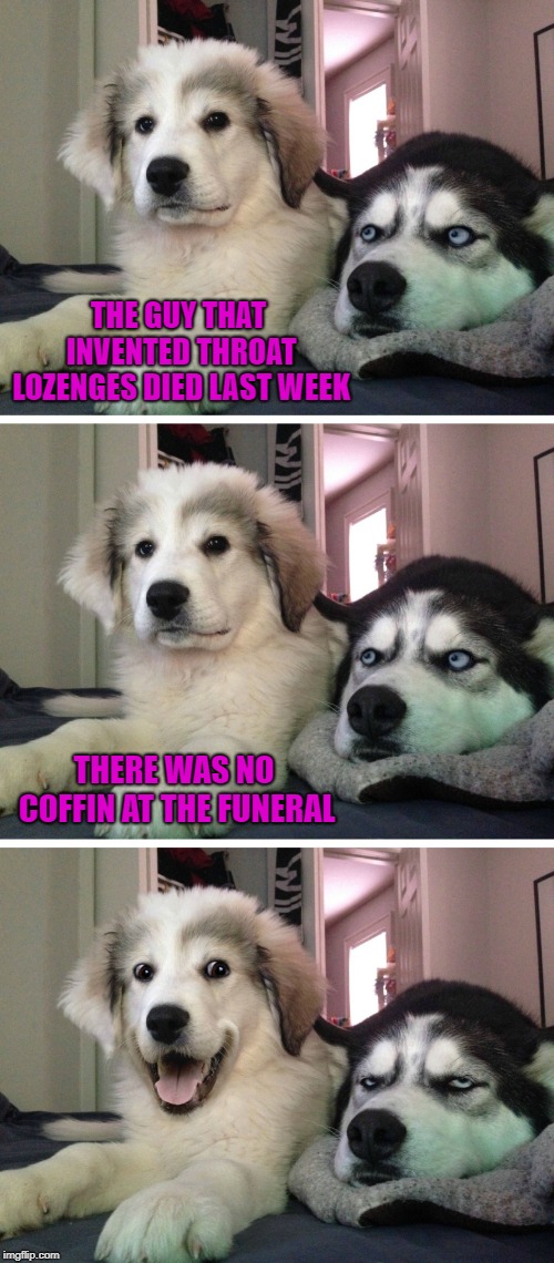 That must've been a sight! | THE GUY THAT INVENTED THROAT LOZENGES DIED LAST WEEK; THERE WAS NO COFFIN AT THE FUNERAL | image tagged in bad pun dogs,memes,throat lozenges,funny,bad puns,dogs | made w/ Imgflip meme maker
