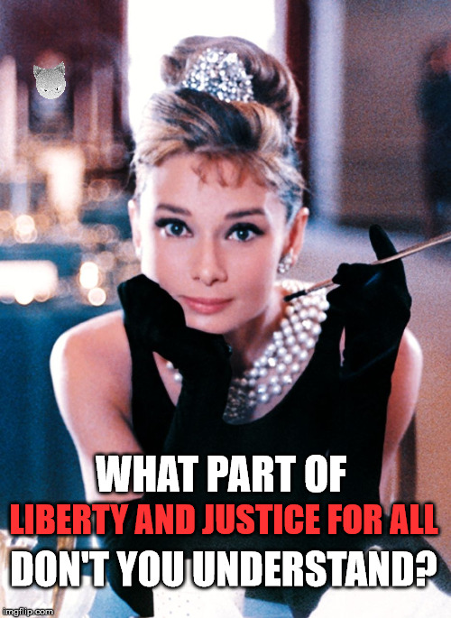 HepBurn | WHAT PART OF; LIBERTY AND JUSTICE FOR ALL; DON'T YOU UNDERSTAND? | image tagged in liberty,justice,womens march,women's rights | made w/ Imgflip meme maker