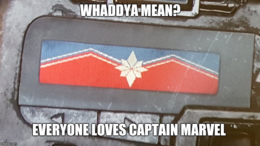 Avengers Infinity War Paging Captain Marvel | WHADDYA MEAN? EVERYONE LOVES CAPTAIN MARVEL | image tagged in avengers infinity war paging captain marvel | made w/ Imgflip meme maker