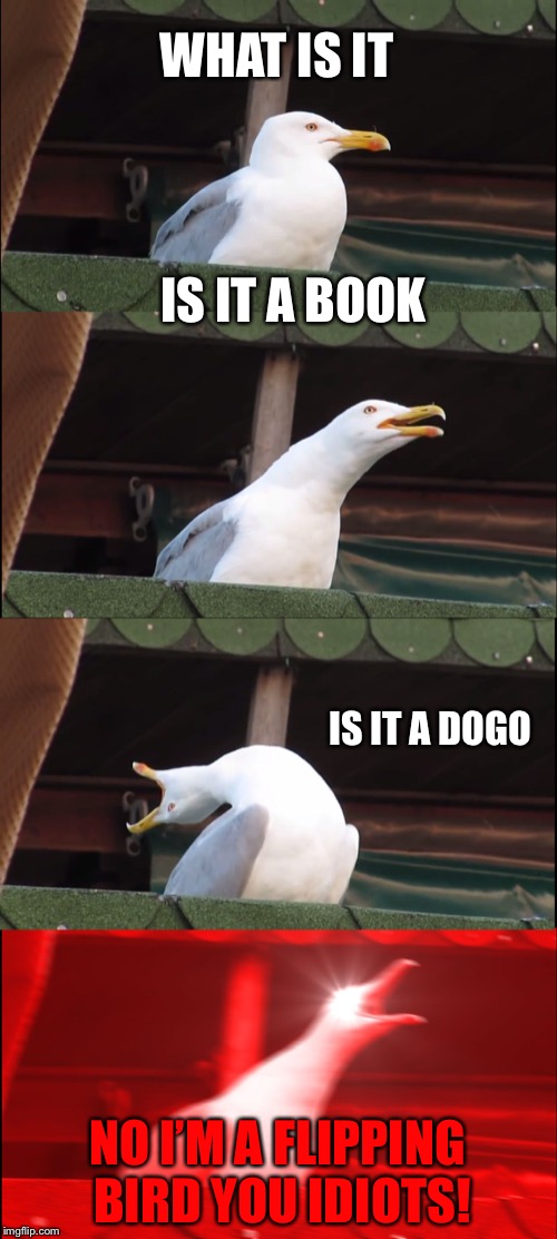 Inhaling Seagull Meme | WHAT IS IT; IS IT A BOOK; IS IT A DOGO; NO I’M A FLIPPING BIRD YOU IDIOTS! | image tagged in memes,inhaling seagull | made w/ Imgflip meme maker
