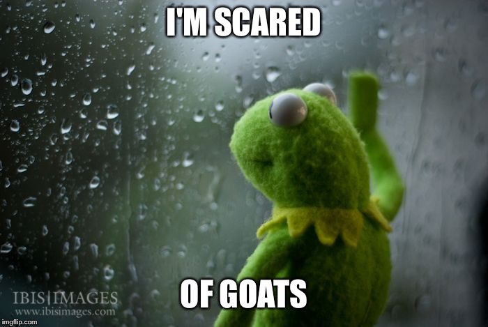 kermit window | I'M SCARED; OF GOATS | image tagged in kermit window | made w/ Imgflip meme maker