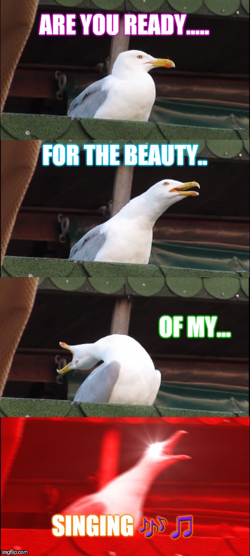 Inhaling Seagull Meme | ARE YOU READY..... FOR THE BEAUTY.. OF MY... SINGING 🎶🎵 | image tagged in memes,inhaling seagull | made w/ Imgflip meme maker