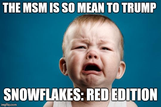 BABY CRYING | THE MSM IS SO MEAN TO TRUMP; SNOWFLAKES: RED EDITION | image tagged in baby crying | made w/ Imgflip meme maker