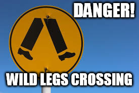 DANGER! WILD LEGS CROSSING | image tagged in legs | made w/ Imgflip meme maker