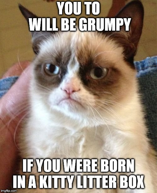 Kitty Litter Box | YOU TO WILL BE GRUMPY; IF YOU WERE BORN IN A KITTY LITTER BOX | image tagged in memes,grumpy cat,kitty litter box,funny,cats | made w/ Imgflip meme maker