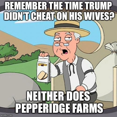 Pepperidge Farm Remembers Meme | REMEMBER THE TIME TRUMP DIDN’T CHEAT ON HIS WIVES? NEITHER DOES PEPPERIDGE FARMS | image tagged in memes,pepperidge farm remembers | made w/ Imgflip meme maker