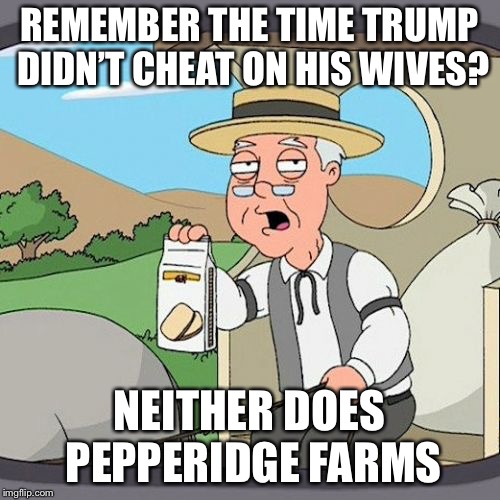 Pepperidge Farm Remembers | REMEMBER THE TIME TRUMP DIDN’T CHEAT ON HIS WIVES? NEITHER DOES PEPPERIDGE FARMS | image tagged in memes,pepperidge farm remembers | made w/ Imgflip meme maker