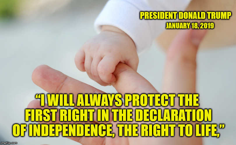If you want to be ignored by the media, say stuff like this. | PRESIDENT DONALD TRUMP; JANUARY 18, 2019; “I WILL ALWAYS PROTECT THE FIRST RIGHT IN THE DECLARATION OF INDEPENDENCE, THE RIGHT TO LIFE,” | image tagged in pro life,right to life,god is love,maga,abortion is murder | made w/ Imgflip meme maker