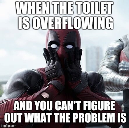 Deadpool Surprised Meme | WHEN THE TOILET IS OVERFLOWING; AND YOU CAN'T FIGURE OUT WHAT THE PROBLEM IS | image tagged in memes,deadpool surprised | made w/ Imgflip meme maker