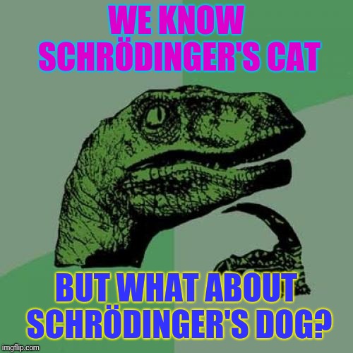 Who knows? | WE KNOW SCHRÖDINGER'S CAT; BUT WHAT ABOUT SCHRÖDINGER'S DOG? | image tagged in memes,philosoraptor,schrdinger's cat,raydog | made w/ Imgflip meme maker