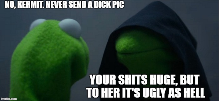 Evil Kermit | NO, KERMIT. NEVER SEND A DICK PIC; YOUR SHITS HUGE, BUT TO HER IT'S UGLY AS HELL | image tagged in memes,evil kermit | made w/ Imgflip meme maker