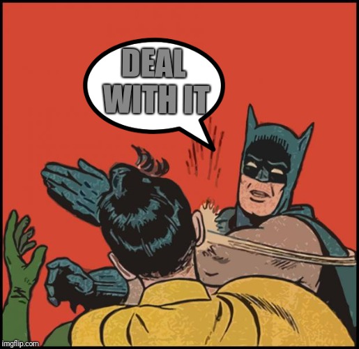 batman slapping robin no bubbles | DEAL WITH IT | image tagged in batman slapping robin no bubbles | made w/ Imgflip meme maker