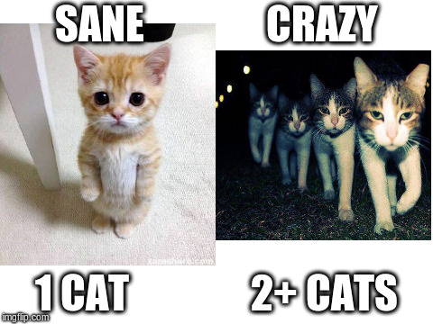Psychology of Old Ladies | SANE               CRAZY; 1 CAT               2+ CATS | image tagged in memes,cats,insane | made w/ Imgflip meme maker