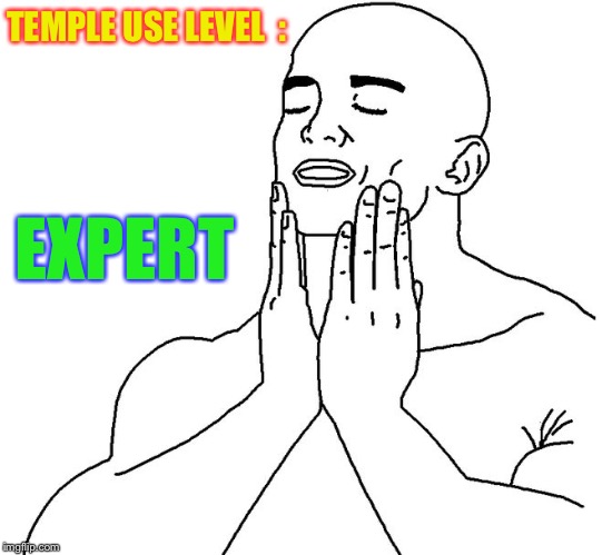 Men touching face | TEMPLE USE LEVEL  : EXPERT | image tagged in men touching face | made w/ Imgflip meme maker