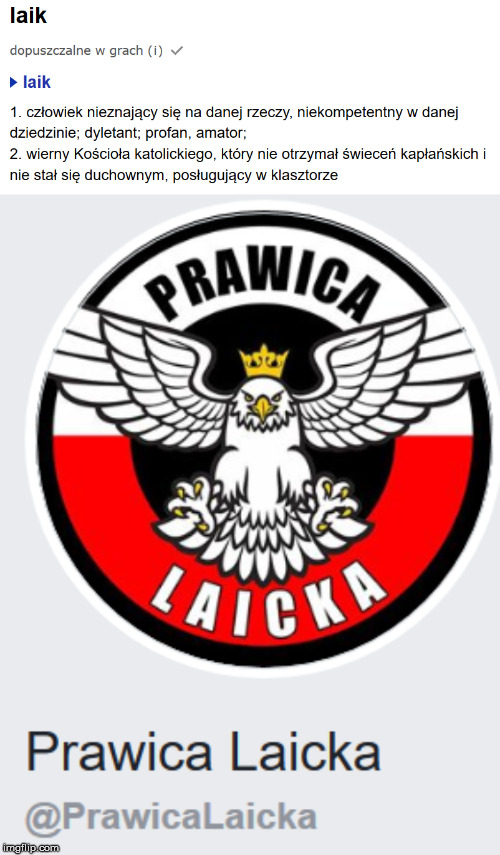 prawica laicka | image tagged in right wing | made w/ Imgflip meme maker