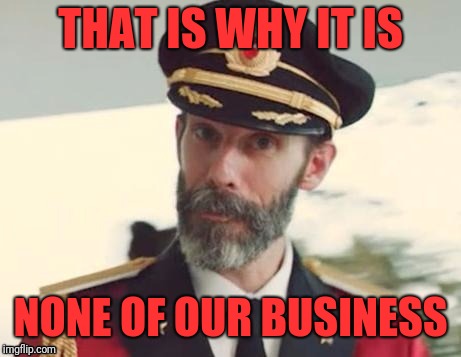  Captain obvious | THAT IS WHY IT IS NONE OF OUR BUSINESS | image tagged in captain obvious | made w/ Imgflip meme maker