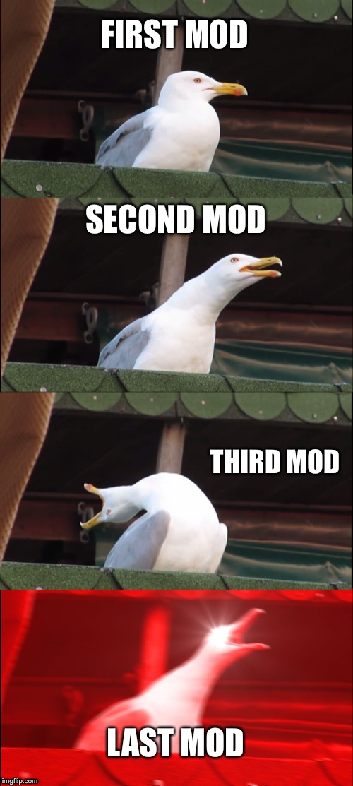 Inhaling Seagull | FIRST MOD; SECOND MOD; THIRD MOD; LAST MOD | image tagged in memes,inhaling seagull | made w/ Imgflip meme maker
