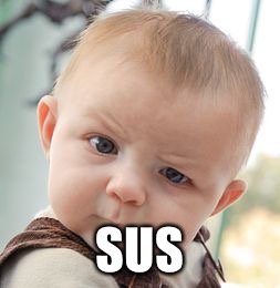 Skeptical Baby Meme | SUS | image tagged in memes,skeptical baby | made w/ Imgflip meme maker