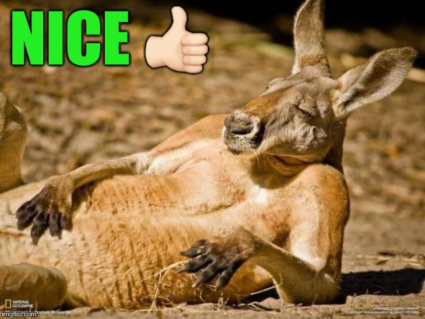 Chillin Kangaroo | NICE  | image tagged in chillin kangaroo | made w/ Imgflip meme maker