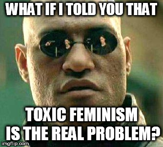 What if i told you | WHAT IF I TOLD YOU THAT; TOXIC FEMINISM IS THE REAL PROBLEM? | image tagged in what if i told you | made w/ Imgflip meme maker