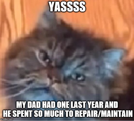 Yass Cat | YASSSS MY DAD HAD ONE LAST YEAR AND HE SPENT SO MUCH TO REPAIR/MAINTAIN | image tagged in yass cat | made w/ Imgflip meme maker