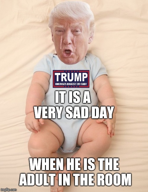 Crying Trump Baby | IT IS A VERY SAD DAY WHEN HE IS THE ADULT IN THE ROOM | image tagged in crying trump baby | made w/ Imgflip meme maker