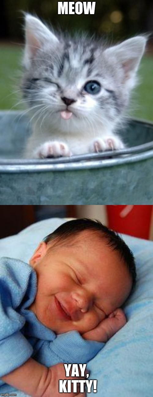 MEOW; YAY, KITTY! | image tagged in sleeping baby laughing | made w/ Imgflip meme maker