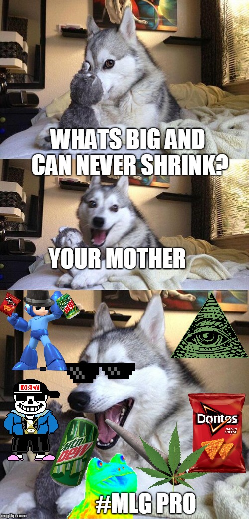 dog gets his revenge on his owner | WHATS BIG AND CAN NEVER SHRINK? YOUR MOTHER; #MLG PRO | image tagged in memes,bad pun dog,sans undertale,mlg | made w/ Imgflip meme maker