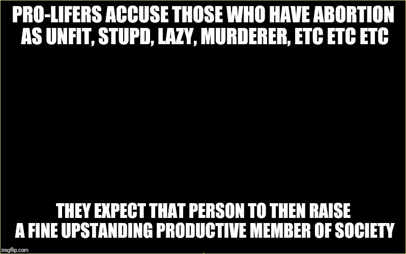 Pro-lifer logic | PRO-LIFERS ACCUSE THOSE WHO HAVE ABORTION AS UNFIT, STUPD, LAZY, MURDERER, ETC ETC ETC; THEY EXPECT THAT PERSON TO THEN RAISE A FINE UPSTANDING PRODUCTIVE MEMBER OF SOCIETY | image tagged in abortion,logic | made w/ Imgflip meme maker