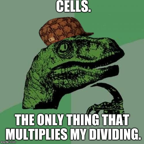 Philosoraptor | CELLS. THE ONLY THING THAT MULTIPLIES MY DIVIDING. | image tagged in memes,philosoraptor | made w/ Imgflip meme maker