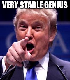 Trump Trademark | VERY STABLE GENIUS | image tagged in trump trademark | made w/ Imgflip meme maker