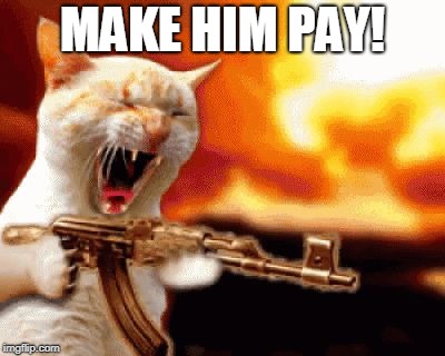 Shooting Cat | MAKE HIM PAY! | image tagged in shooting cat | made w/ Imgflip meme maker