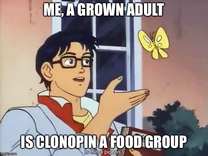 ANIME BUTTERFLY MEME | ME, A GROWN ADULT; IS CLONOPIN A FOOD GROUP | image tagged in anime butterfly meme | made w/ Imgflip meme maker