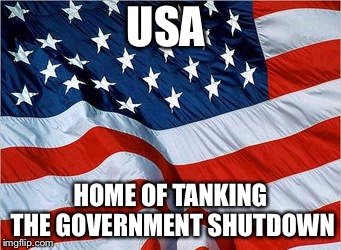 USA Flag | USA; HOME OF TANKING THE GOVERNMENT SHUTDOWN | image tagged in usa flag,memes,government shutdown,politics,stfu | made w/ Imgflip meme maker