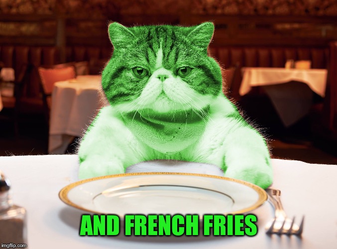RayCat Hungry | AND FRENCH FRIES | image tagged in raycat hungry | made w/ Imgflip meme maker