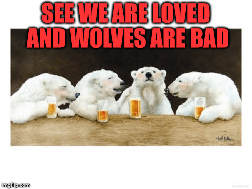 polar bears drinking beer | SEE WE ARE LOVED AND WOLVES ARE BAD | image tagged in polar bears drinking beer | made w/ Imgflip meme maker