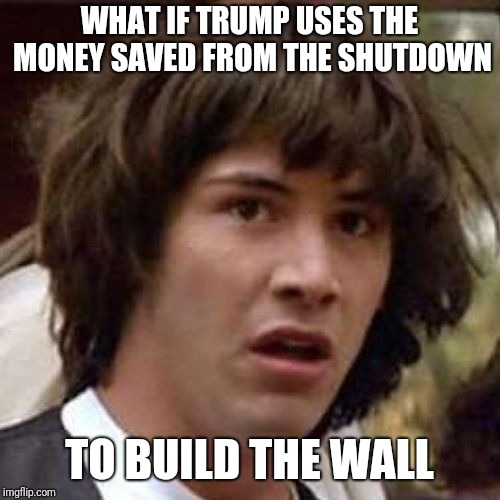 whoa | WHAT IF TRUMP USES THE MONEY SAVED FROM THE SHUTDOWN; TO BUILD THE WALL | image tagged in whoa | made w/ Imgflip meme maker