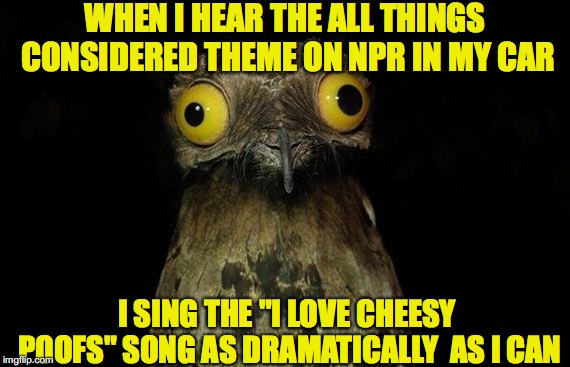 Weird Stuff I Do Potoo Latest Memes - Imgflip