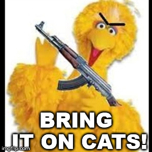 Angry Big Bird | BRING IT ON CATS! | image tagged in angry big bird | made w/ Imgflip meme maker