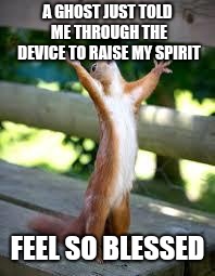 Praise Squirrel | A GHOST JUST TOLD ME THROUGH THE DEVICE TO RAISE MY SPIRIT; FEEL SO BLESSED | image tagged in praise squirrel | made w/ Imgflip meme maker