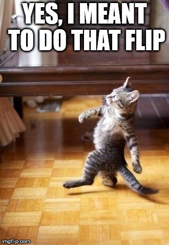 Cool Cat Stroll Meme | YES, I MEANT TO DO THAT FLIP | image tagged in memes,cool cat stroll | made w/ Imgflip meme maker