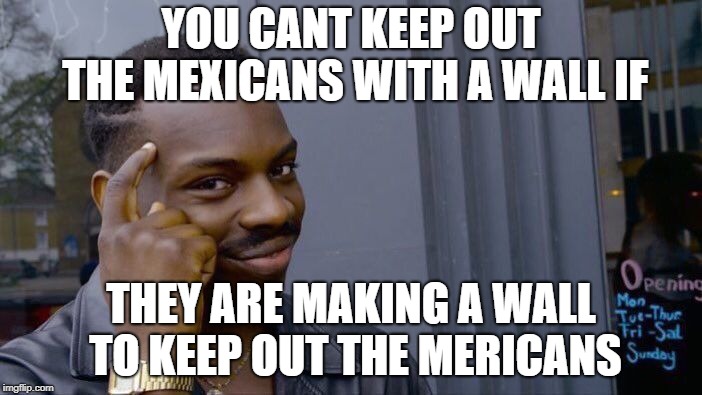 Roll Safe Think About It | YOU CANT KEEP OUT THE MEXICANS WITH A WALL IF; THEY ARE MAKING A WALL TO KEEP OUT THE MERICANS | image tagged in memes,roll safe think about it | made w/ Imgflip meme maker