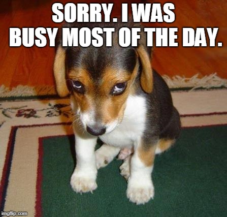 sorry | SORRY. I WAS BUSY MOST OF THE DAY. | image tagged in sorry | made w/ Imgflip meme maker