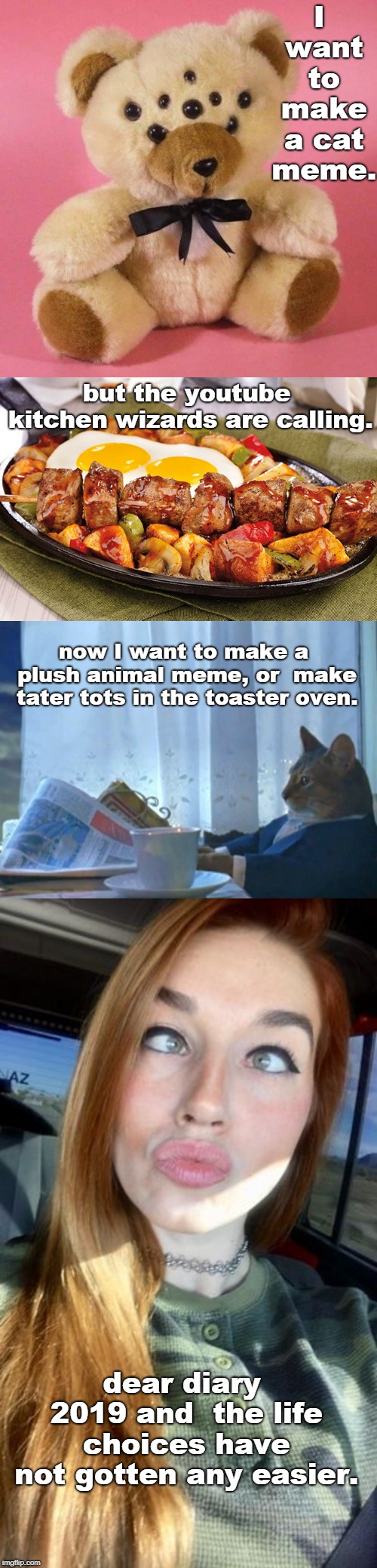 plush animals should  not have more than two eyes.that can confuse mortals and the cat but not the youtube chefs.they rock. | I want to make a cat meme. but the youtube kitchen wizards are calling. now I want to make a plush animal meme, or  make tater tots in the toaster oven. dear diary 2019 and  the life choices have not gotten any easier. | image tagged in breakfast skillet,buy a boat cat,youtube chefs,memes,confusing 2019 | made w/ Imgflip meme maker