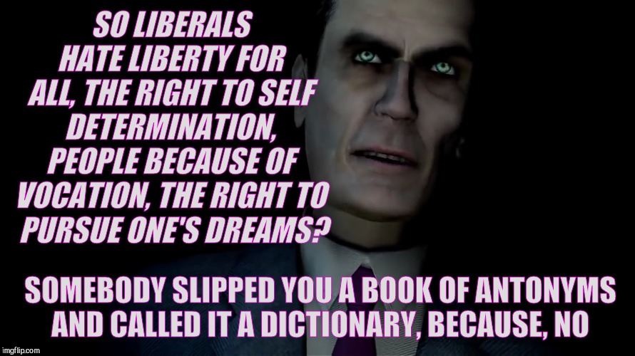 SO LIBERALS HATE LIBERTY FOR ALL, THE RIGHT TO SELF DETERMINATION, PEOPLE BECAUSE OF VOCATION, THE RIGHT TO   PURSUE ONE'S DREAMS? SOMEBODY  | made w/ Imgflip meme maker