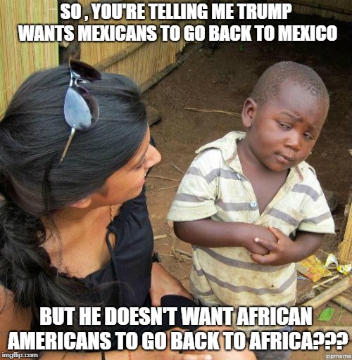 black kid | SO , YOU'RE TELLING ME TRUMP WANTS MEXICANS TO GO BACK TO MEXICO; BUT HE DOESN'T WANT AFRICAN AMERICANS TO GO BACK TO AFRICA??? | image tagged in black kid | made w/ Imgflip meme maker