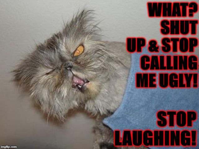 WHAT? SHUT UP & STOP CALLING ME UGLY! STOP LAUGHING! | image tagged in shut up | made w/ Imgflip meme maker