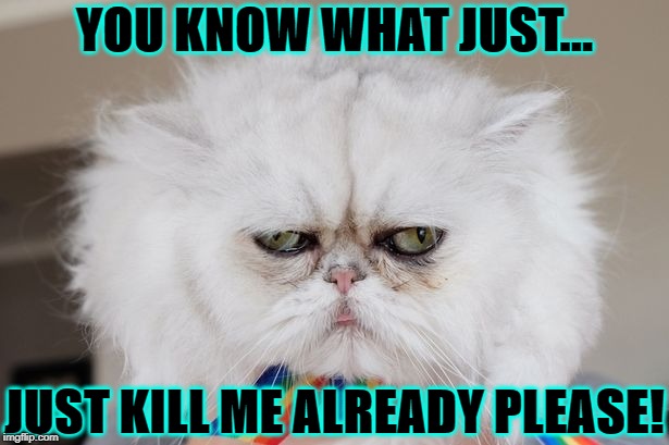 KILL ME | YOU KNOW WHAT JUST... JUST KILL ME ALREADY PLEASE! | image tagged in kill me | made w/ Imgflip meme maker