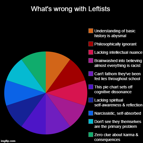 What's wrong with Leftists | What's wrong with Leftists | Zero clue about karma & consequences, Don't see they themselves are the primary problem, Narcissistic, self-abs | image tagged in funny,pie charts,leftists,philosophy,intelligence,spirituality | made w/ Imgflip chart maker